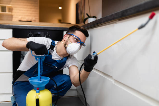 Best Rat Extermination Near Me  in Cameron, WI