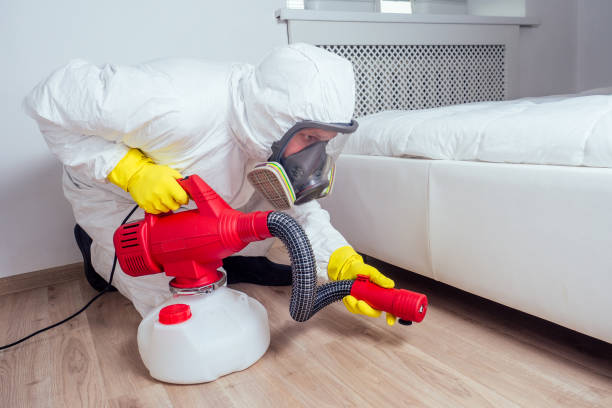 Reliable Cameron, WI Pest Control Solutions