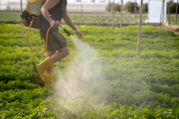 Best Affordable Pest Control Services  in Cameron, WI