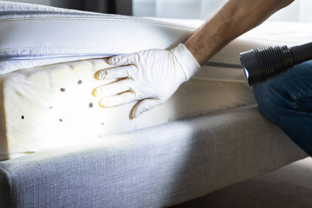 Best Pest Prevention Services  in Cameron, WI