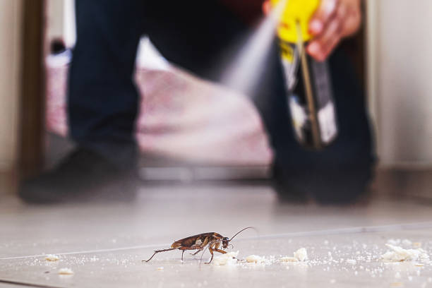 Best Insect Control  in Cameron, WI