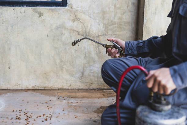 Best Commercial Pest Control Services  in Cameron, WI