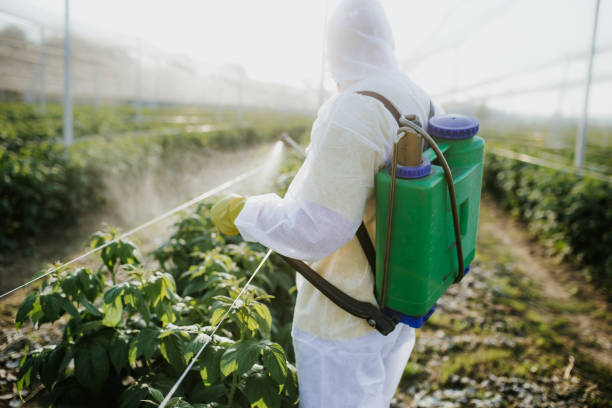 Best Best Pest Control Companies  in Cameron, WI